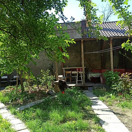 Номер В Гостевом Доме У Моря Odessa Eksteriør billede